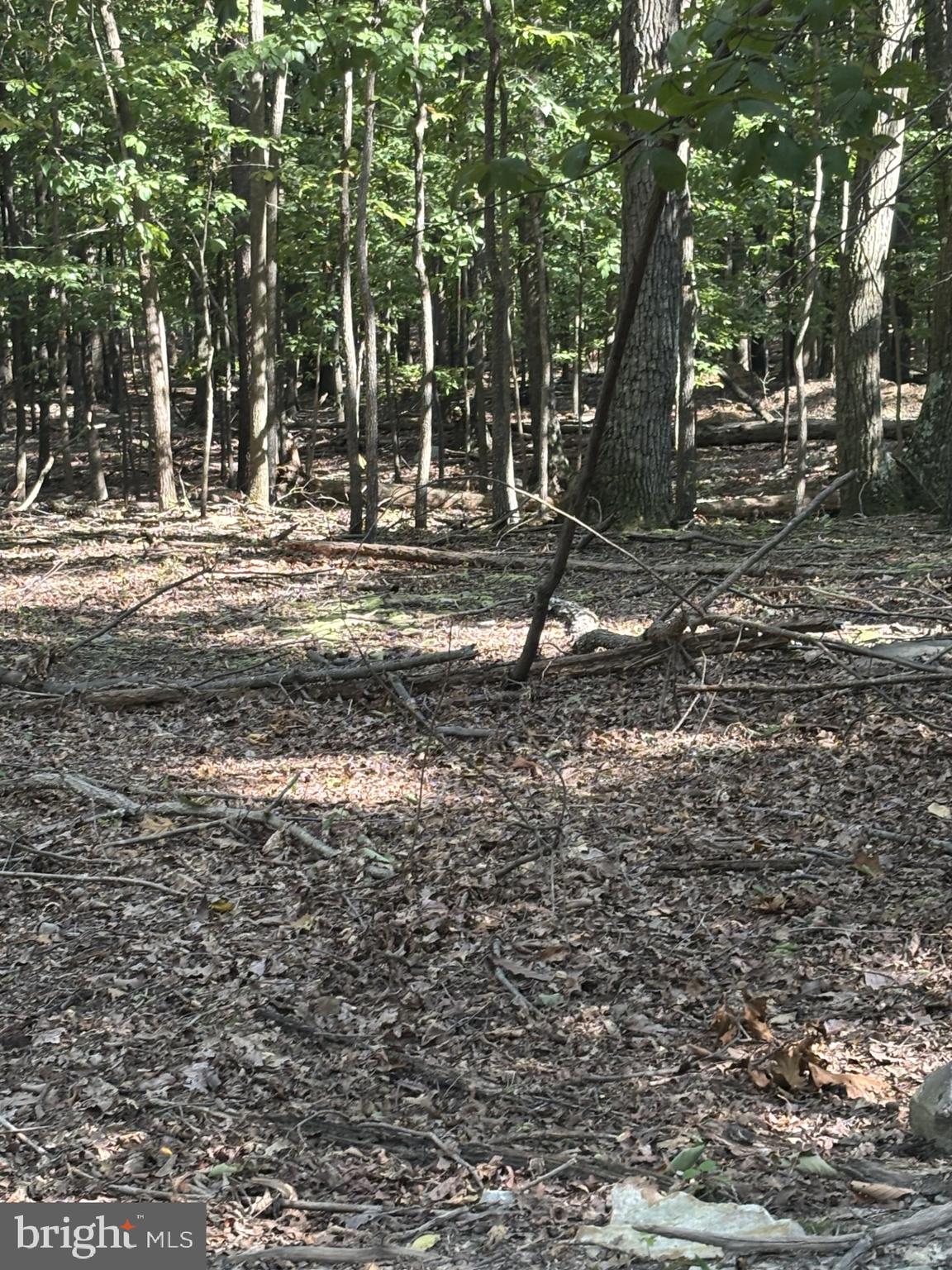 NONE AVAILABLE - Land