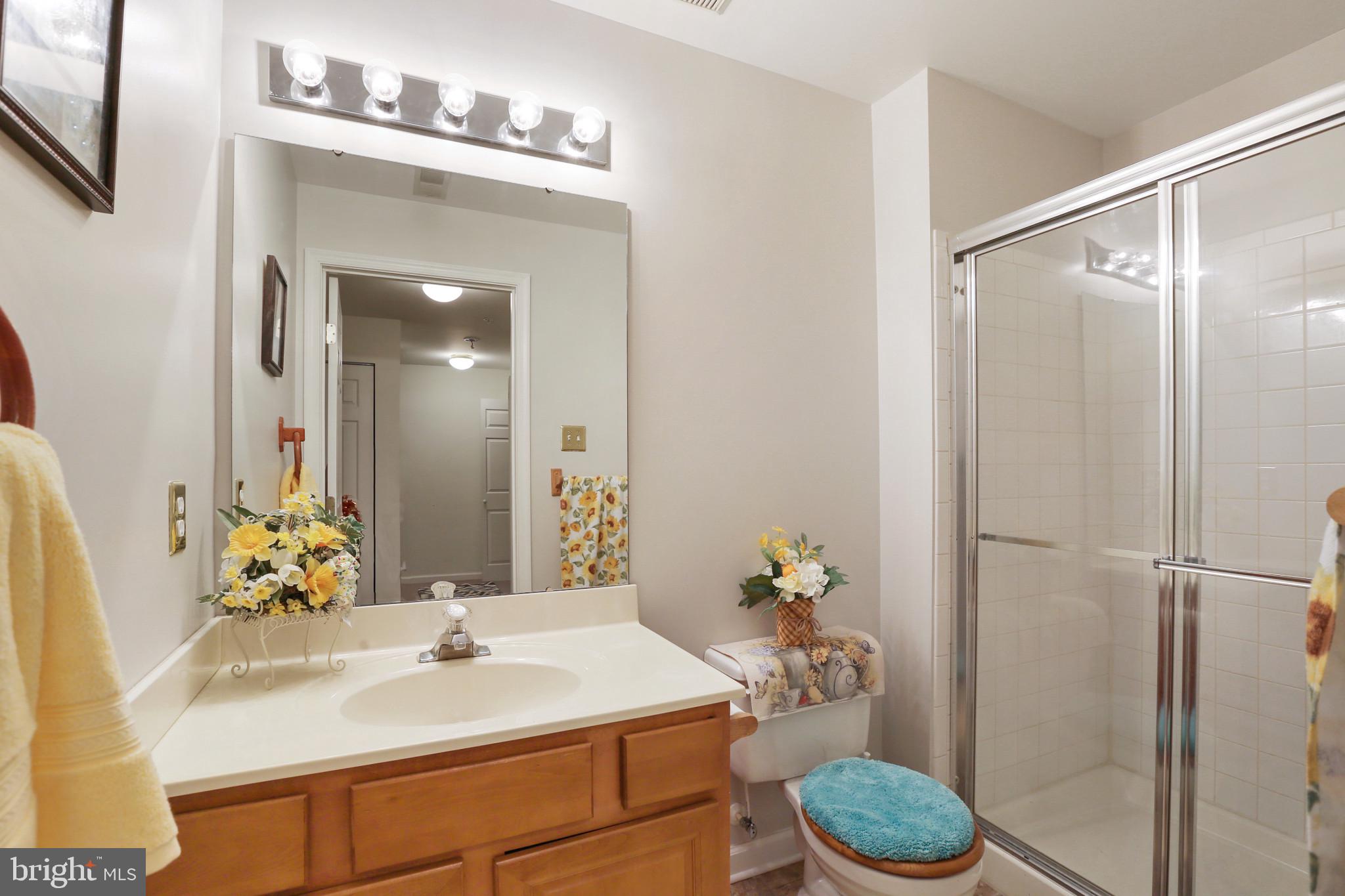 CASTLE STONE AT WHITE MARSH - Residential