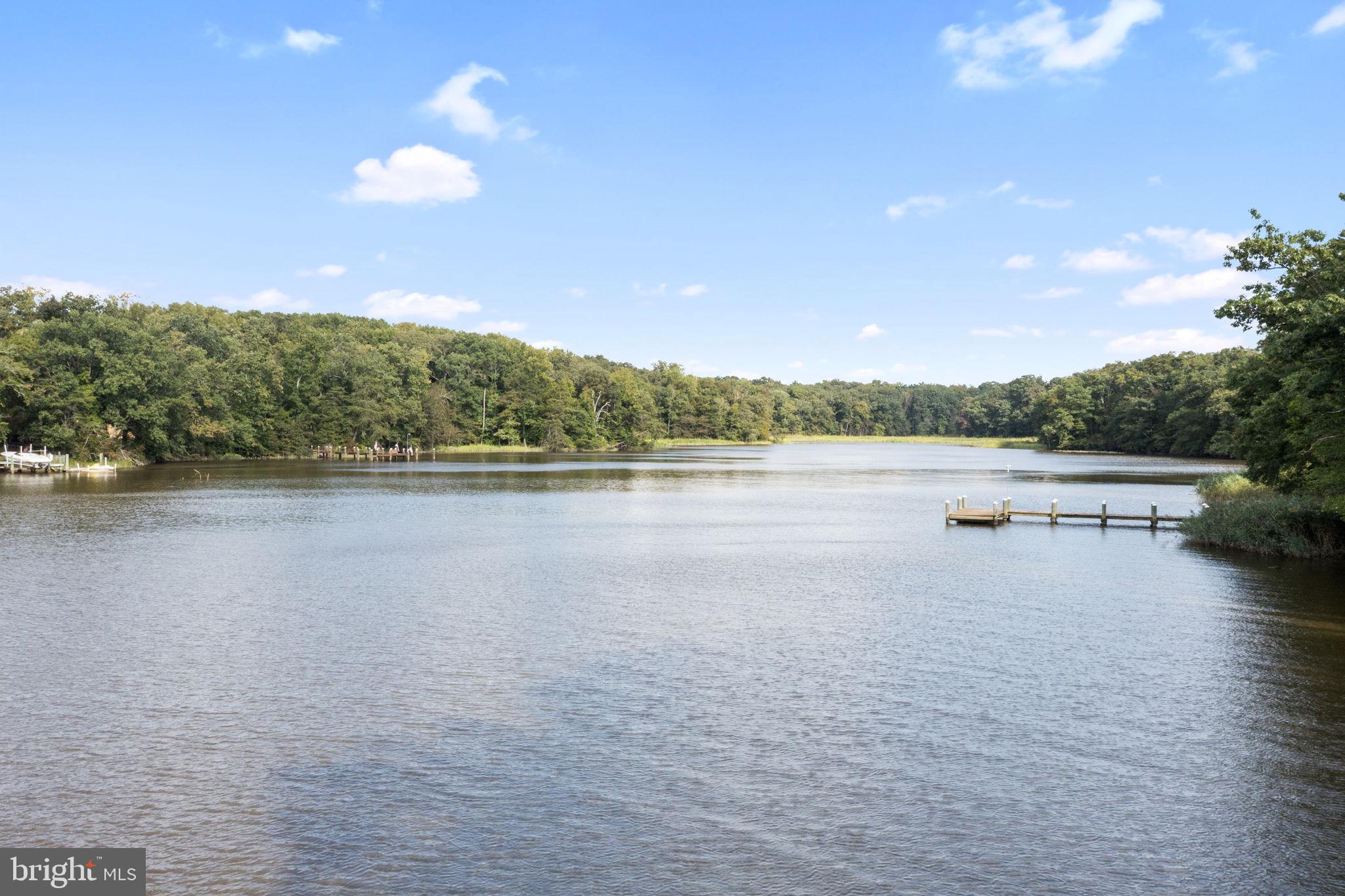 LOCUST POINT - Residential