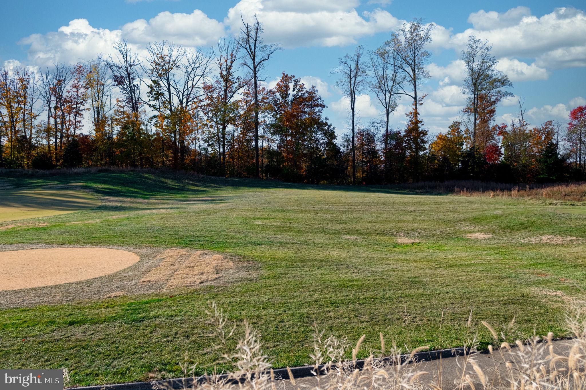 POTOMAC SHORES - Residential