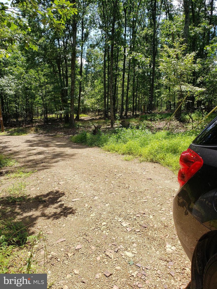 Looking for a great lot with a great price, unrestricted 2.5 acres on country road. Double Wide and single wide mobile home allowed.  Has a new septic with a 3 bedroom perk, driveway and elec. pole. Seller is a licensed WV Real Estate agent