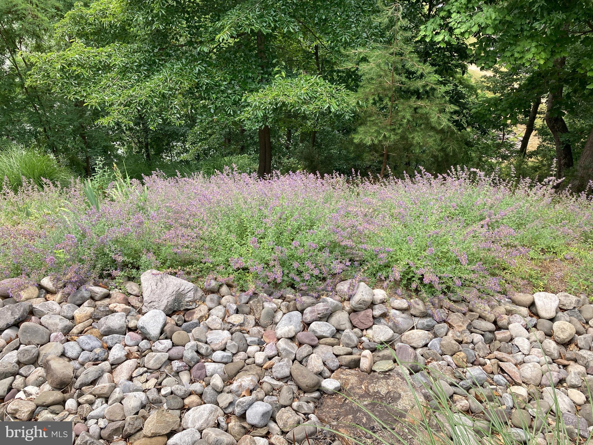 ASPEN LAKE LINGANORE - Residential