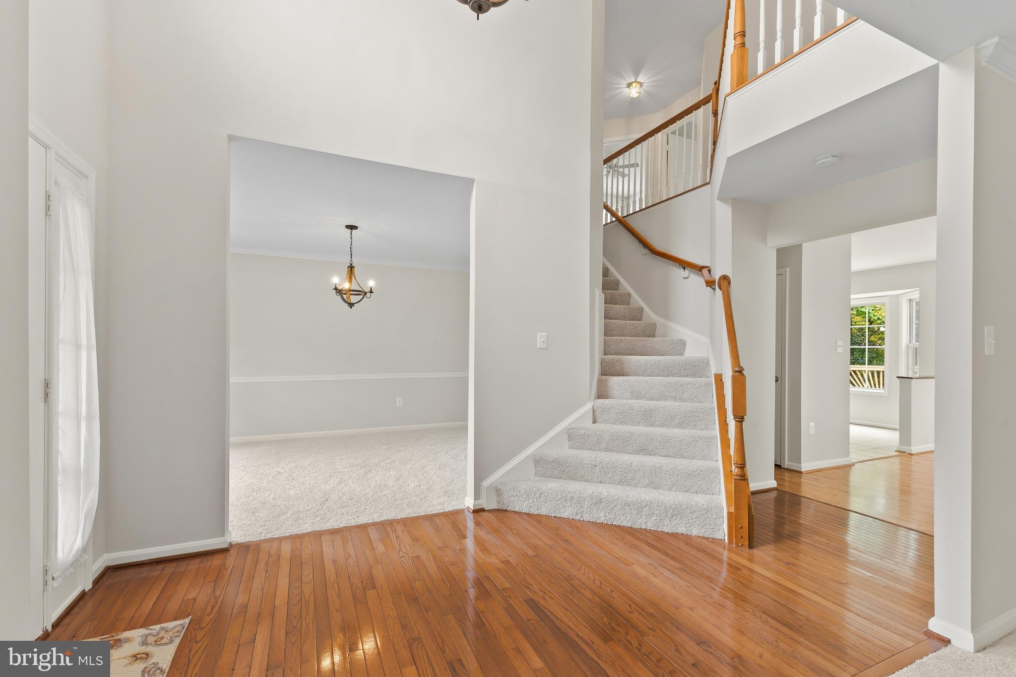 13732 BRIDLEWOOD DRIVE