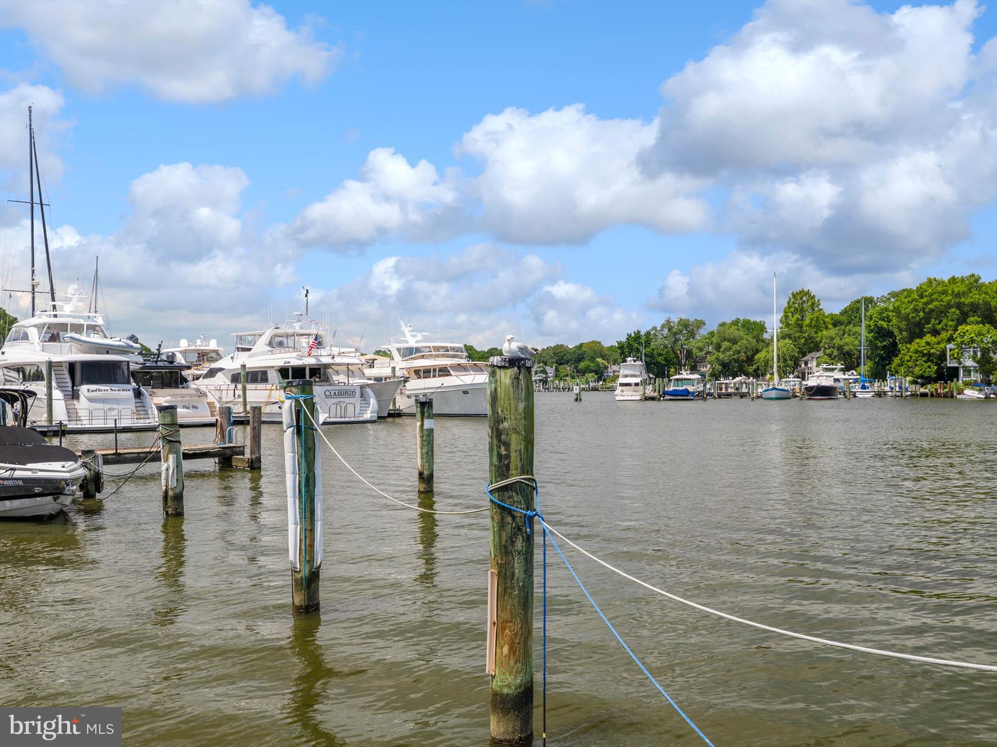 THE YACHT CLUB CONDOMINIUMS - Residential