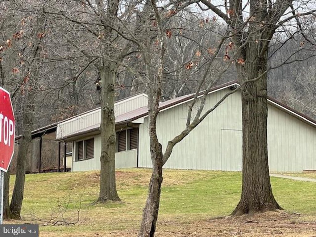 Photo of 317 W Main Street, Adamstown, PA 19501 (MLS # PALA2044646)