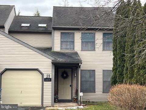 Photo of 317 W Main Street, Adamstown, PA 19501 (MLS # PALA2044646)