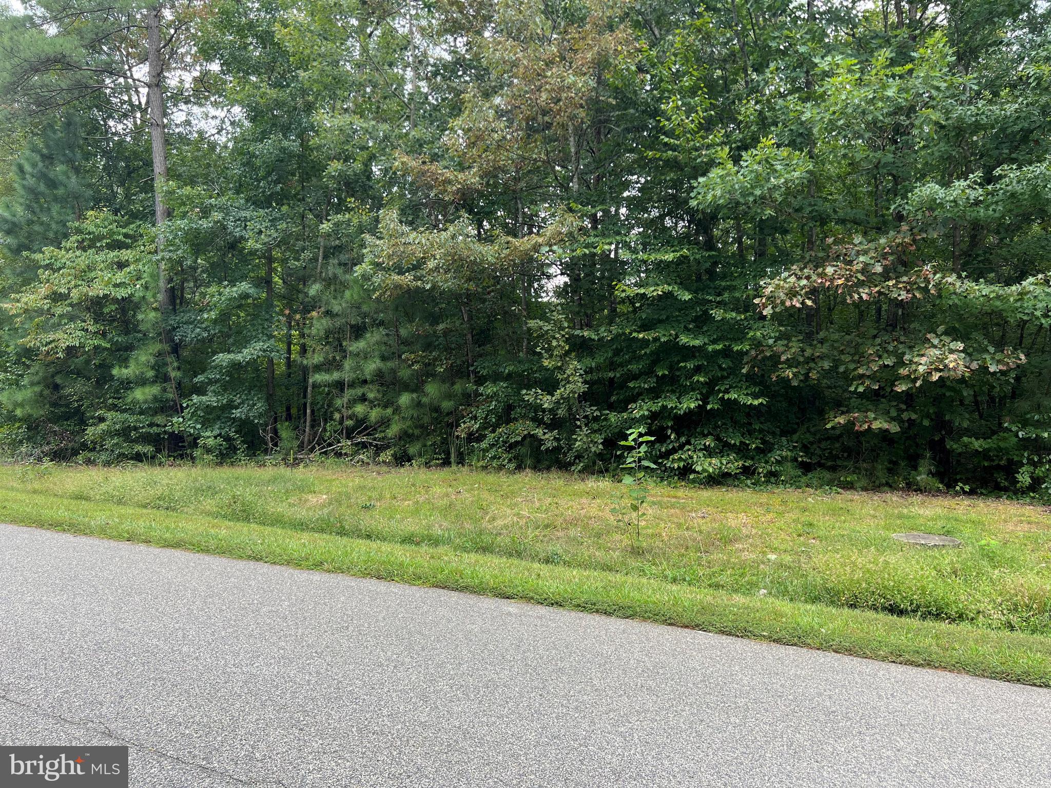 Wooded lot in Noah's Landing, one of Lake Anna's premier communities with many amenities located on the private side of the lake (pool 3). It offers a boat ramp, basketball court, sandy beach, volleyball area, and covered picnic area. Boat slip available for purchase. Firefly internet is currently being installed in the neighborhood.