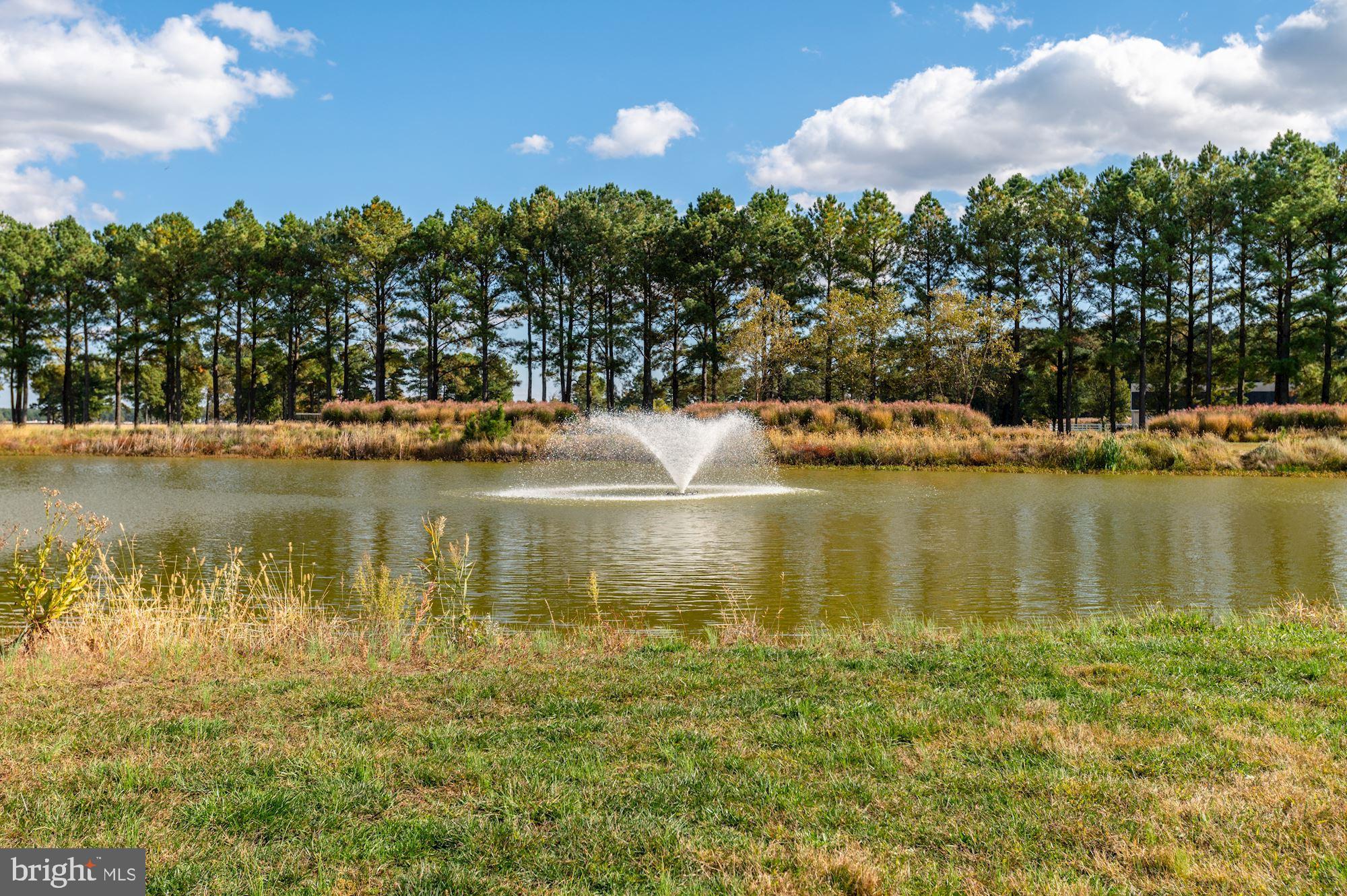 ROLLYSTON FARM - Residential