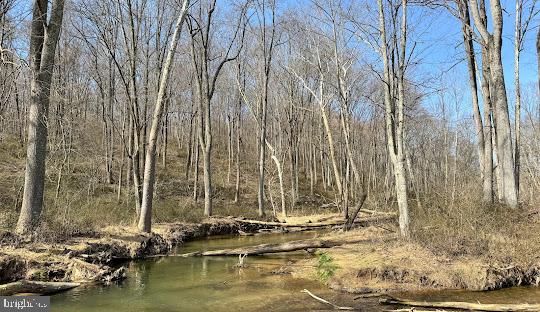 ELDERSBURG - Residential