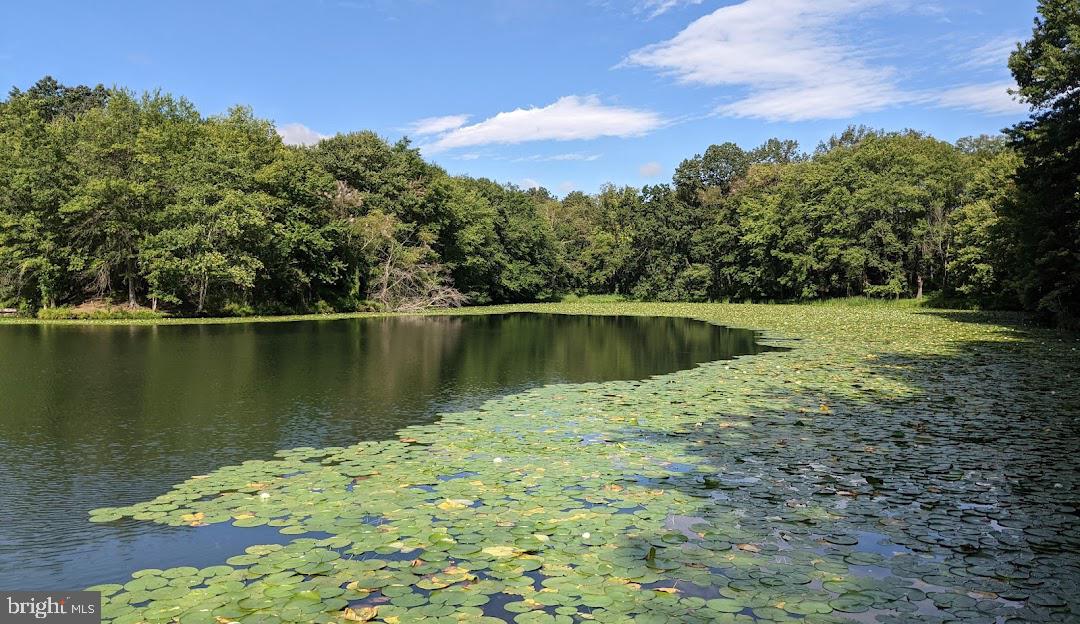 ELDERSBURG - Residential