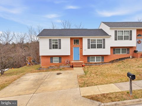 549 STONEWALL STREET STRASBURG VA 22657