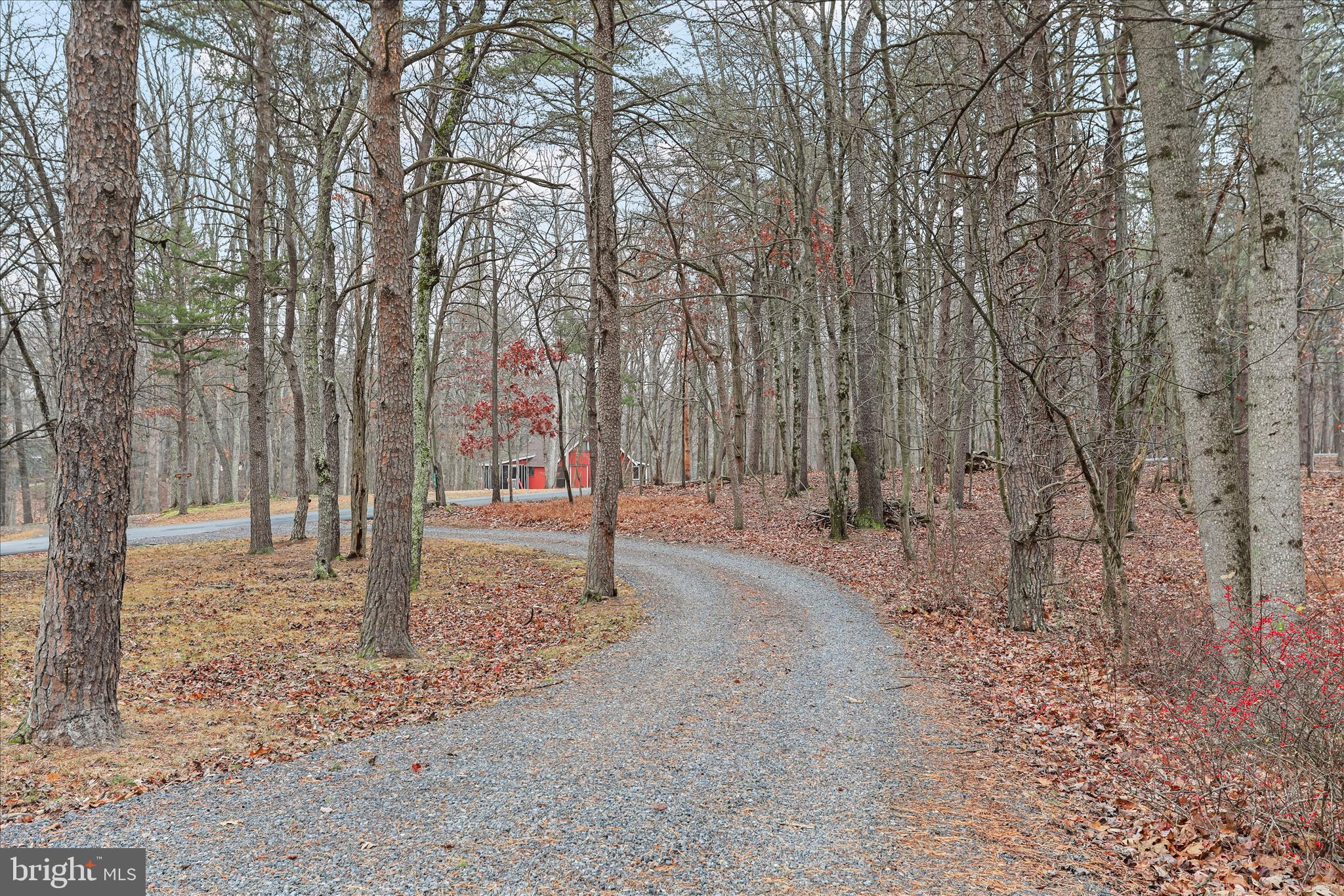 THE WOODS - Residential