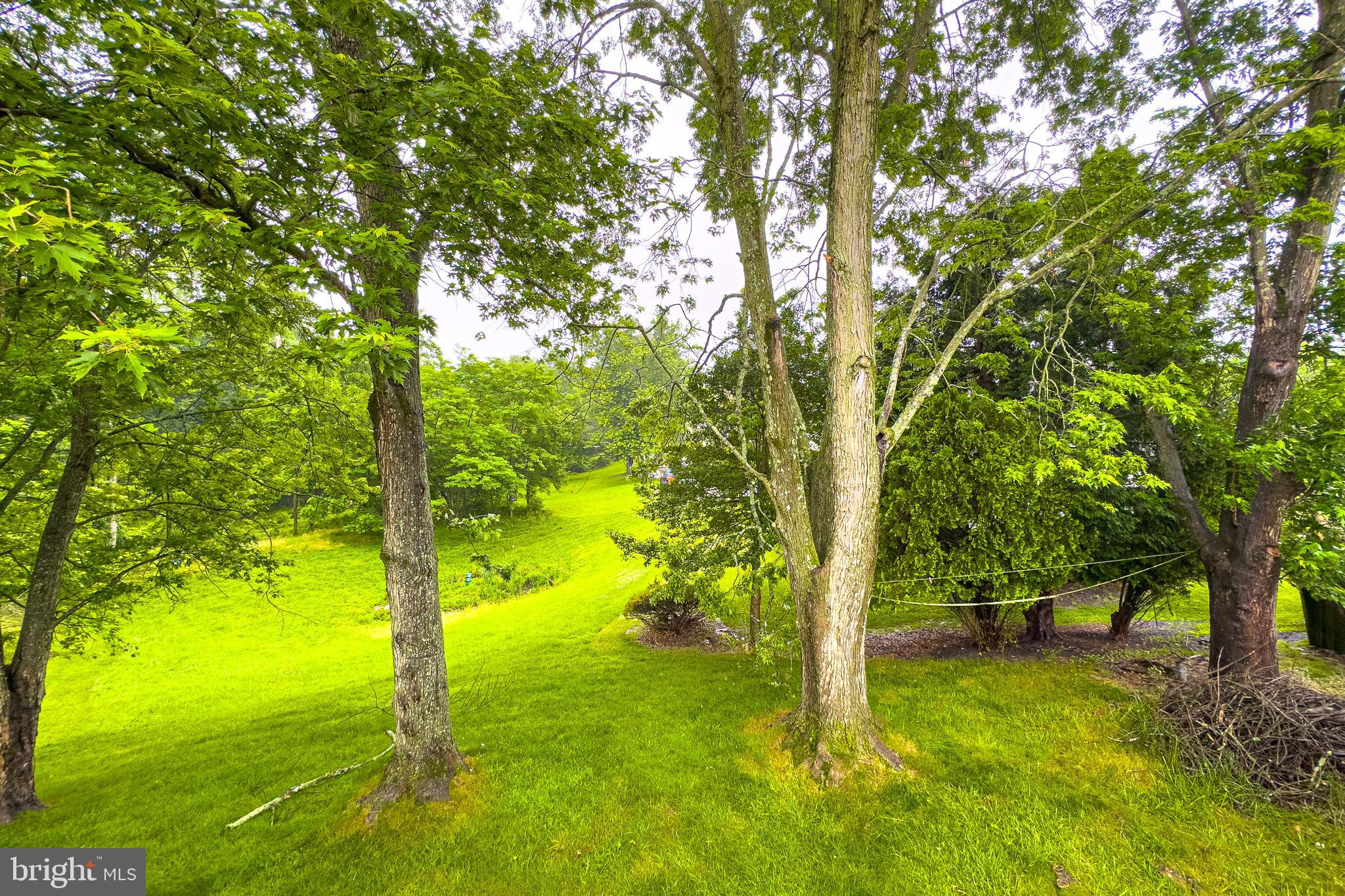 VILLAGE OF WHITE OAK - Residential