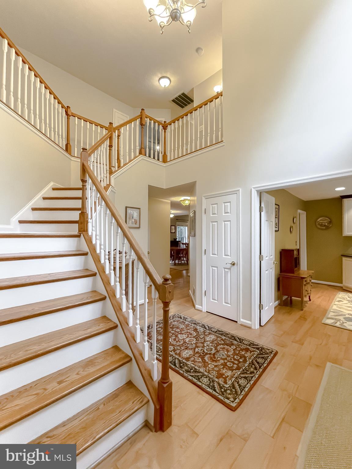 CHESTNUT HILLS - Residential