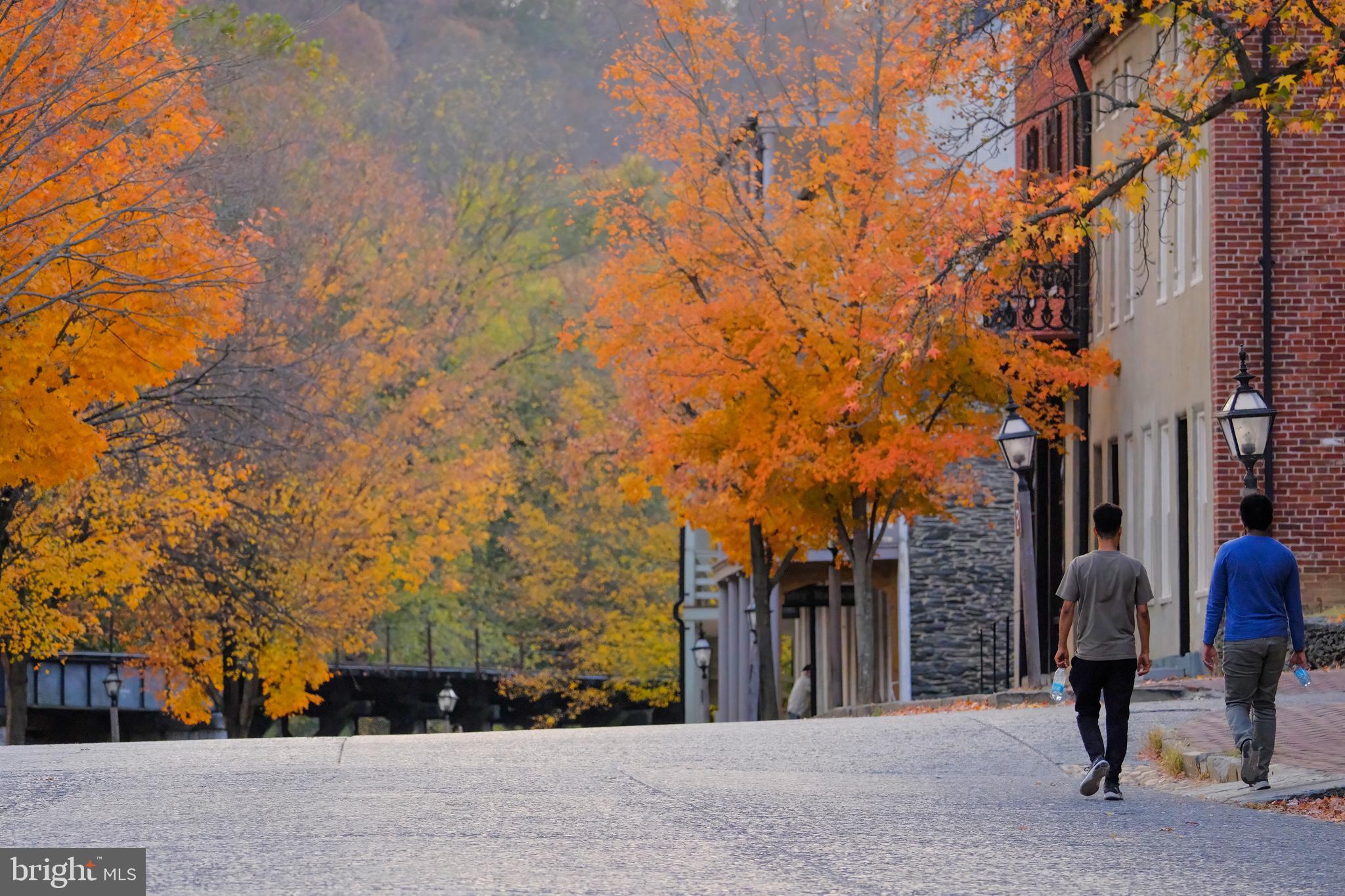 BLUE RIDGE ACRES - Residential