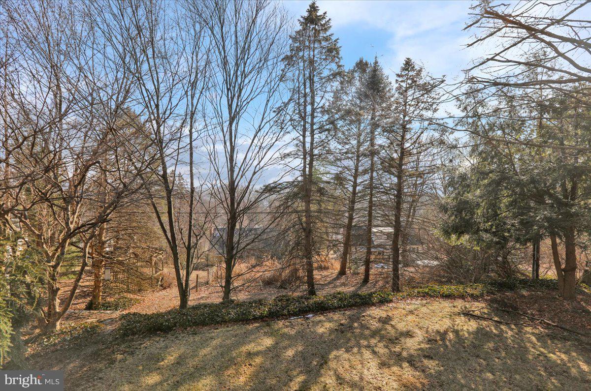 WYOMISSING HILLS - Residential