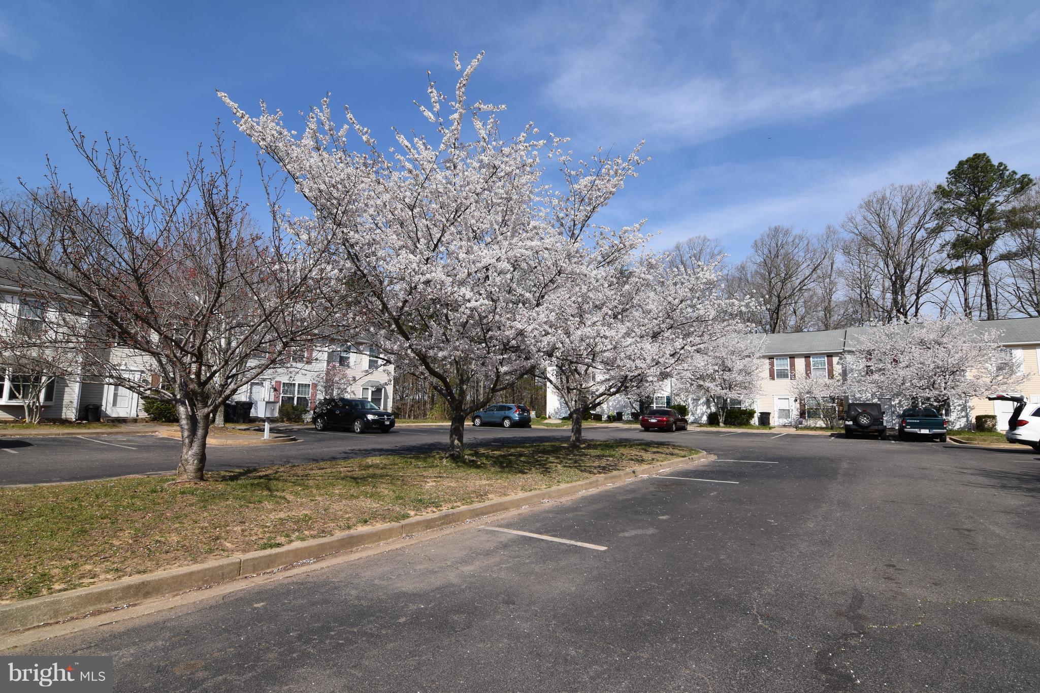 BAY RIDGE ESTATES - Residential Lease