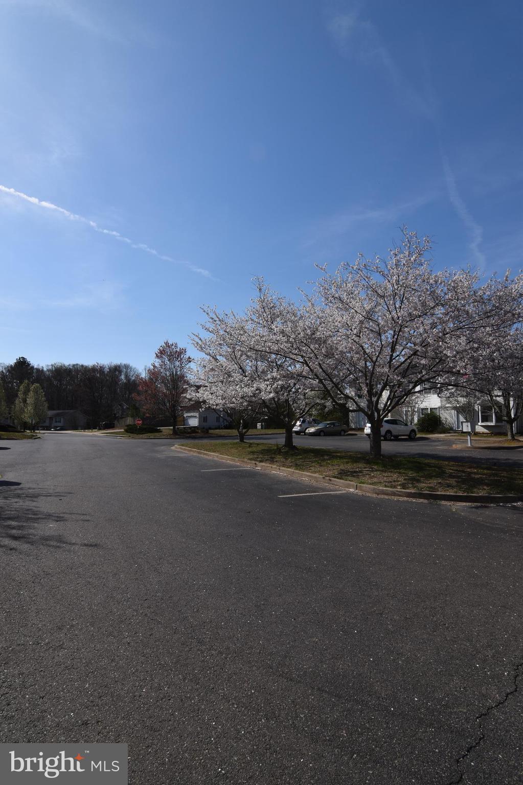 BAY RIDGE ESTATES - Residential Lease