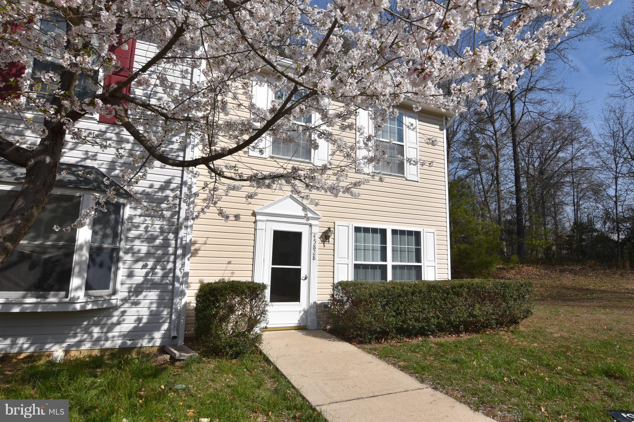 BAY RIDGE ESTATES - Residential Lease