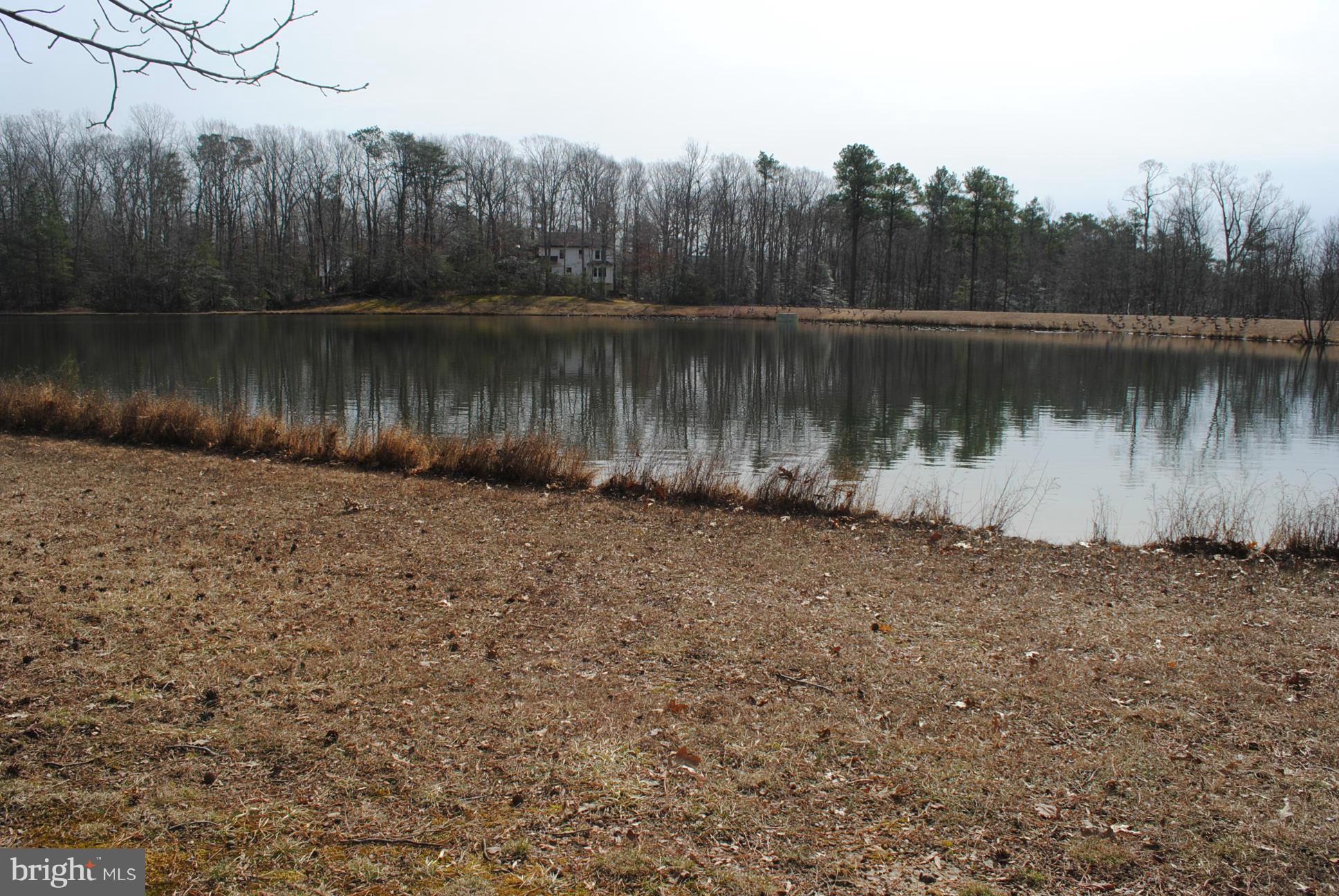 WILDEWOOD - Residential Lease