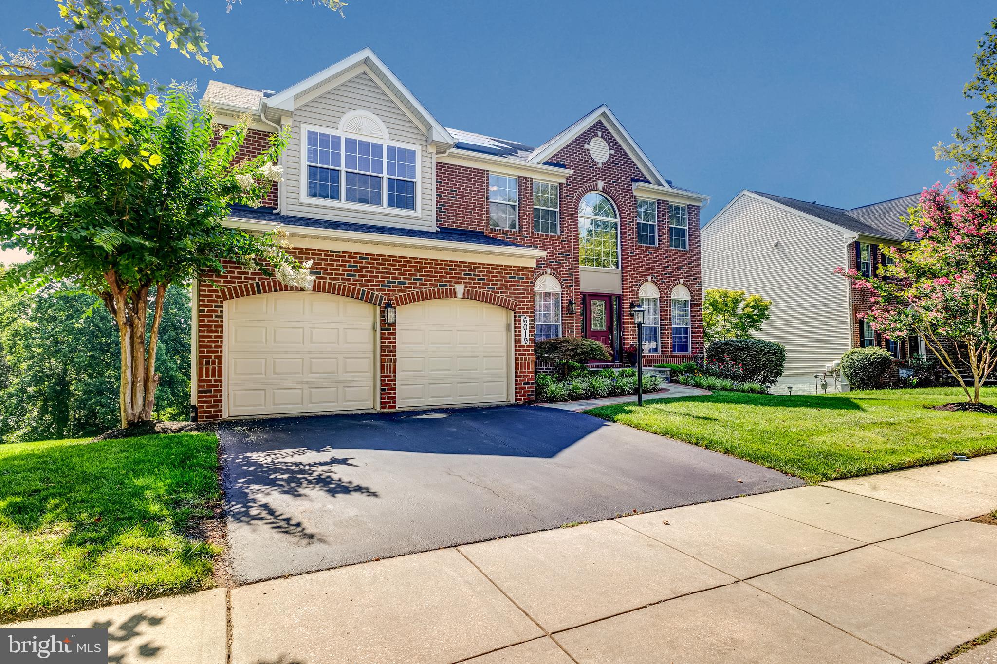 6019 JOSEPH SCOTT DRIVE