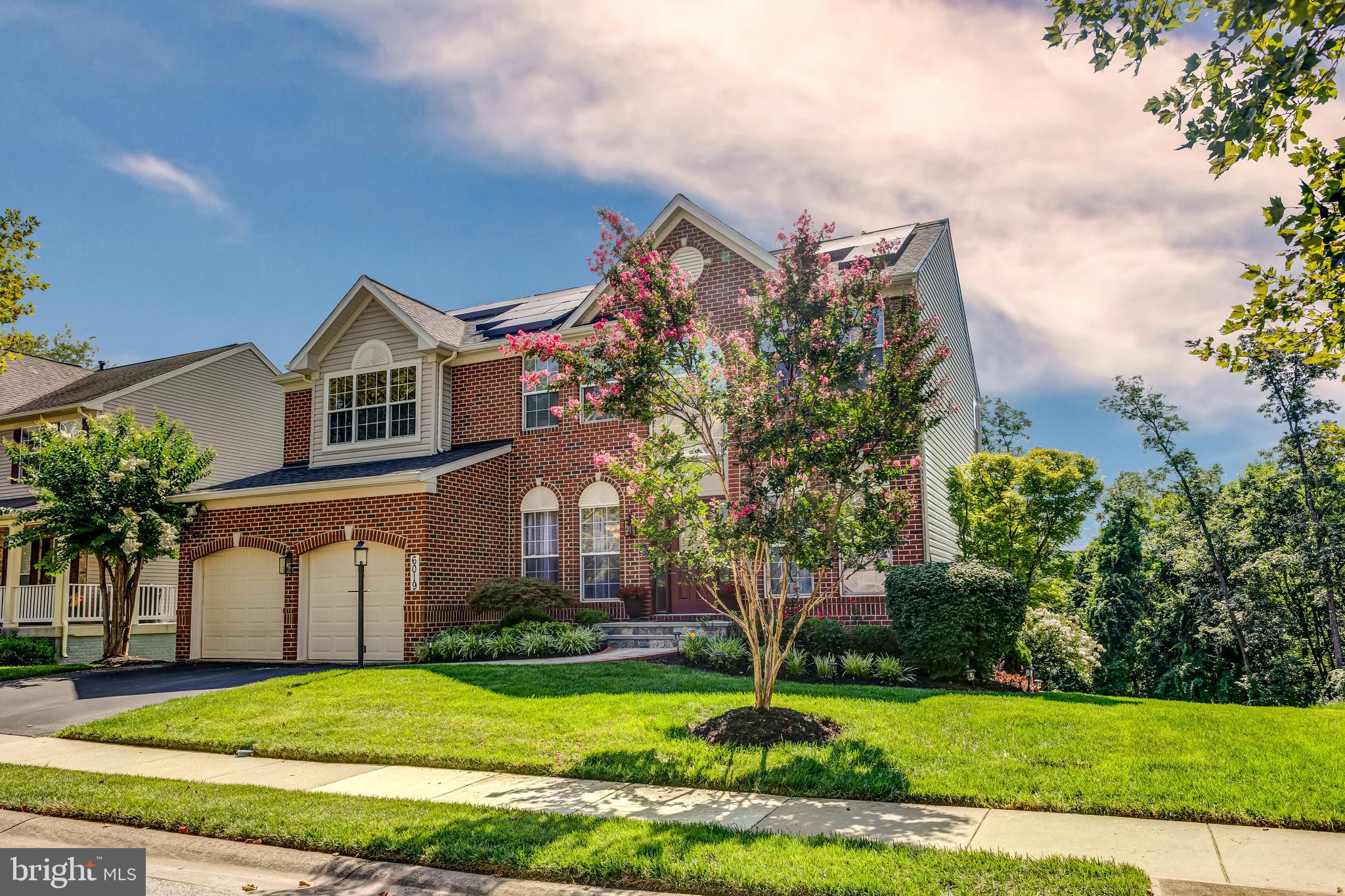 6019 JOSEPH SCOTT DRIVE