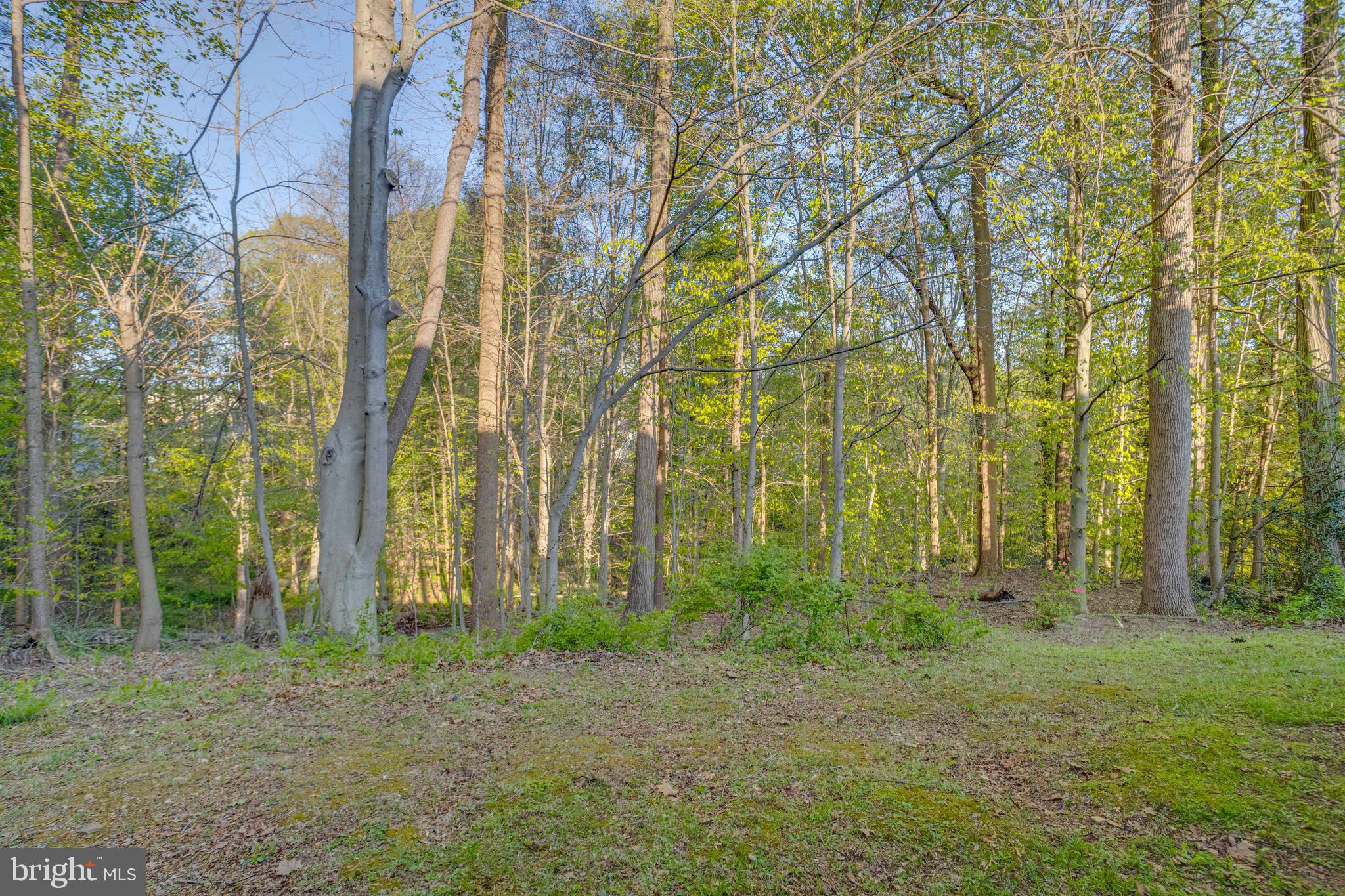 FOXBOROUGH FARMS - Residential