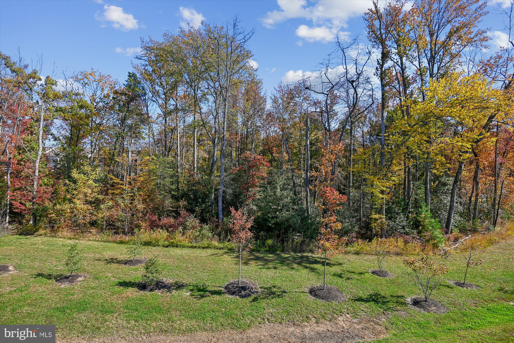 ODENTON TOWN CENTER - Residential