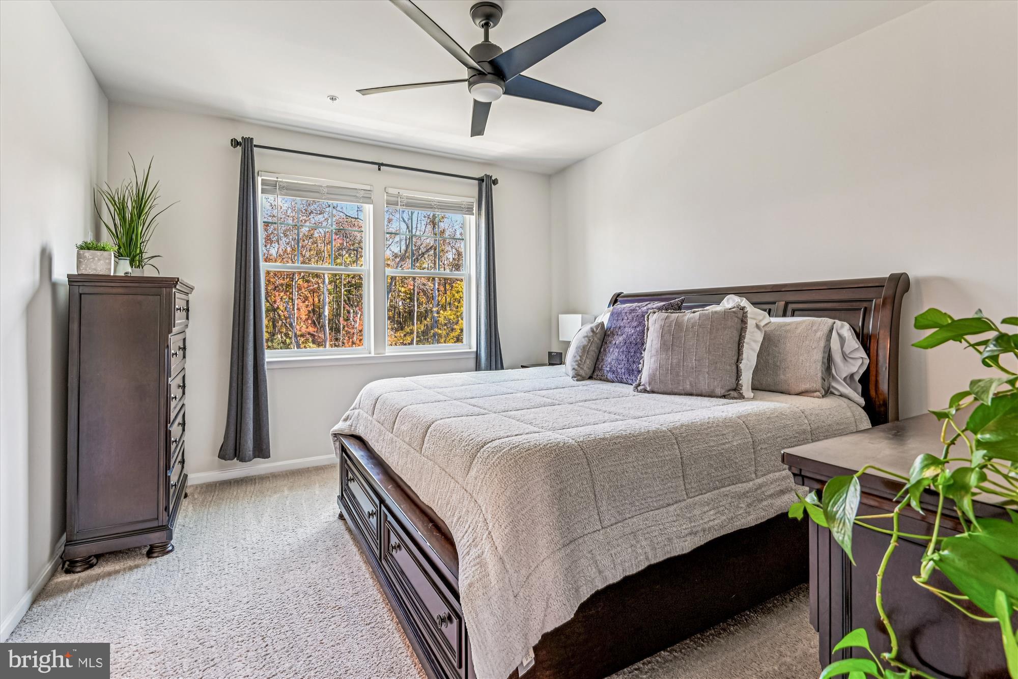 ODENTON TOWN CENTER - Residential