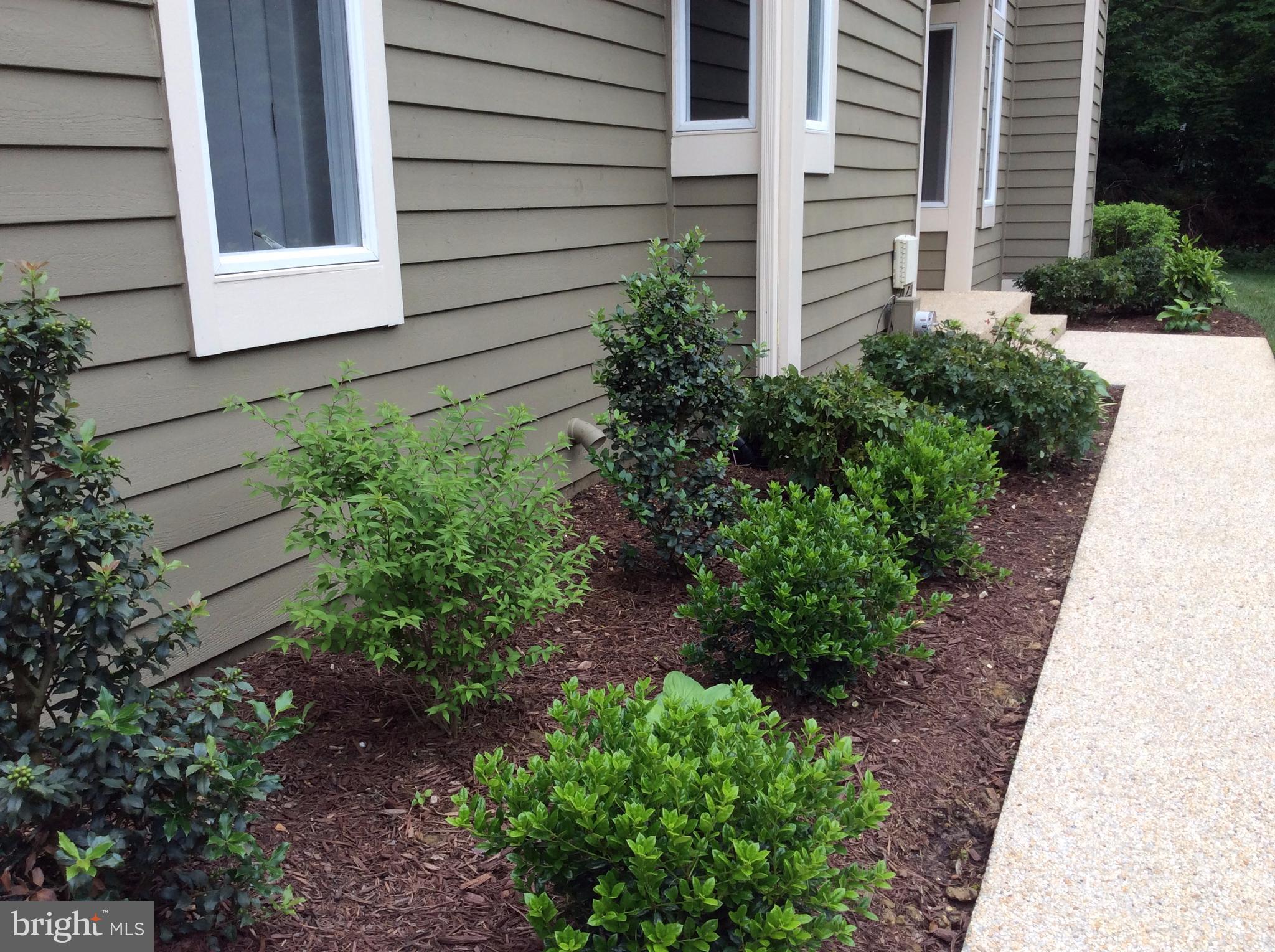 RIVA TRACE - Residential