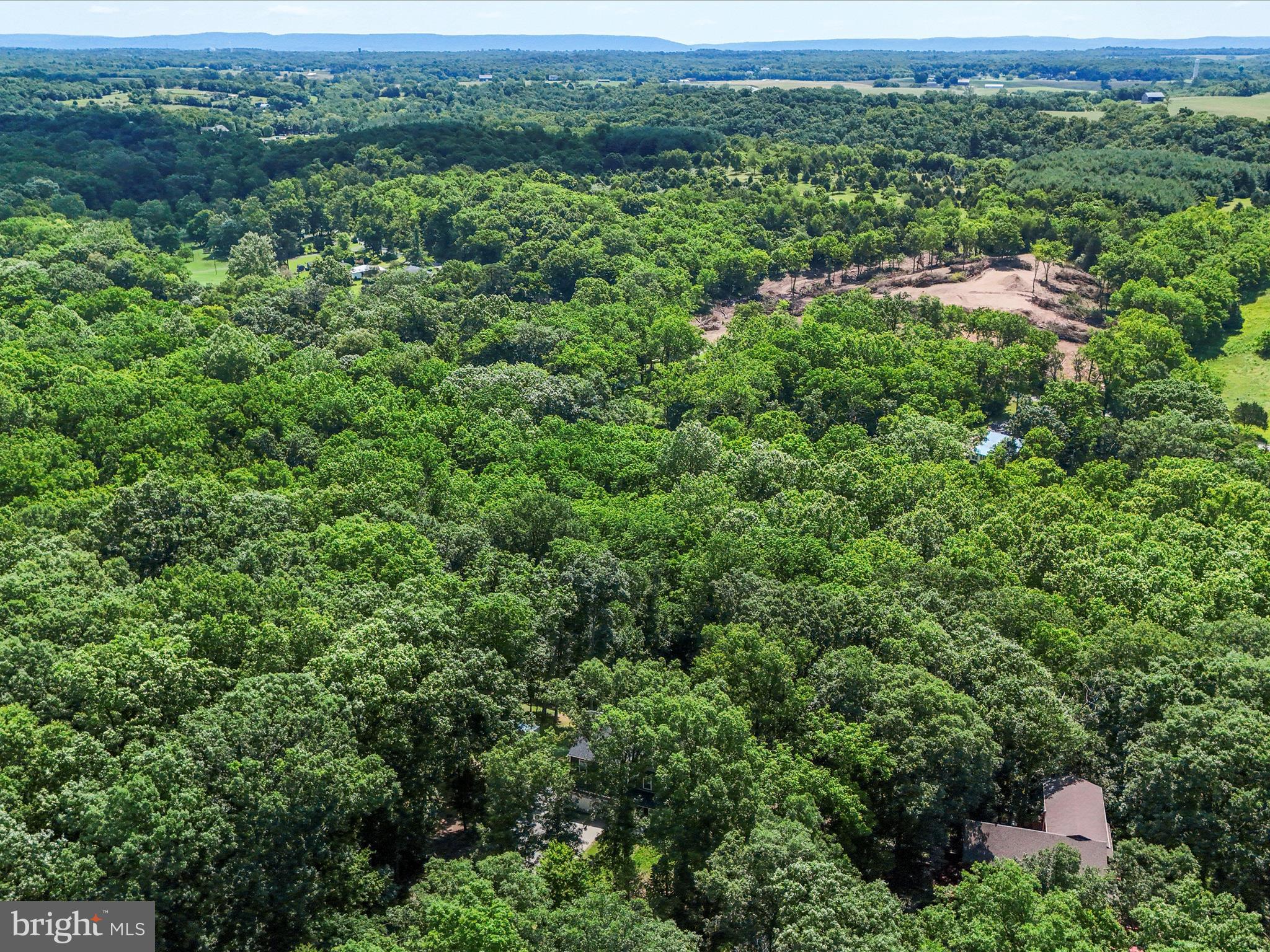 MEADOWS OF ARDEN - Residential