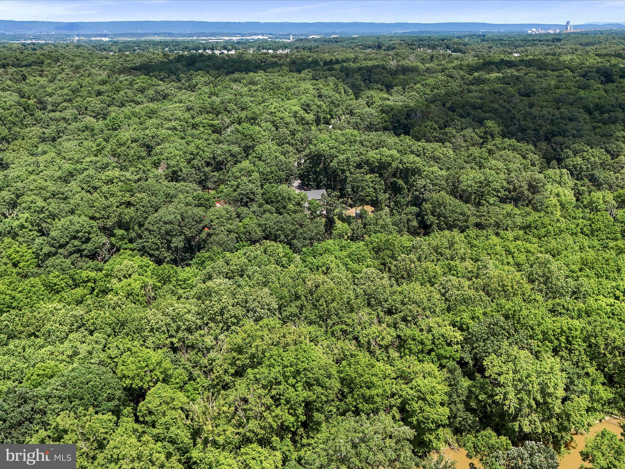 MEADOWS OF ARDEN - Residential