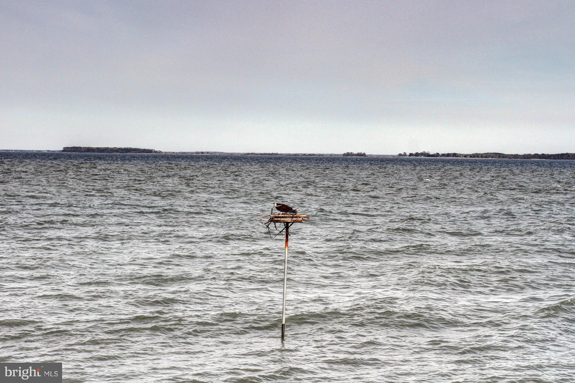 COVE CREEK CLUB - Residential