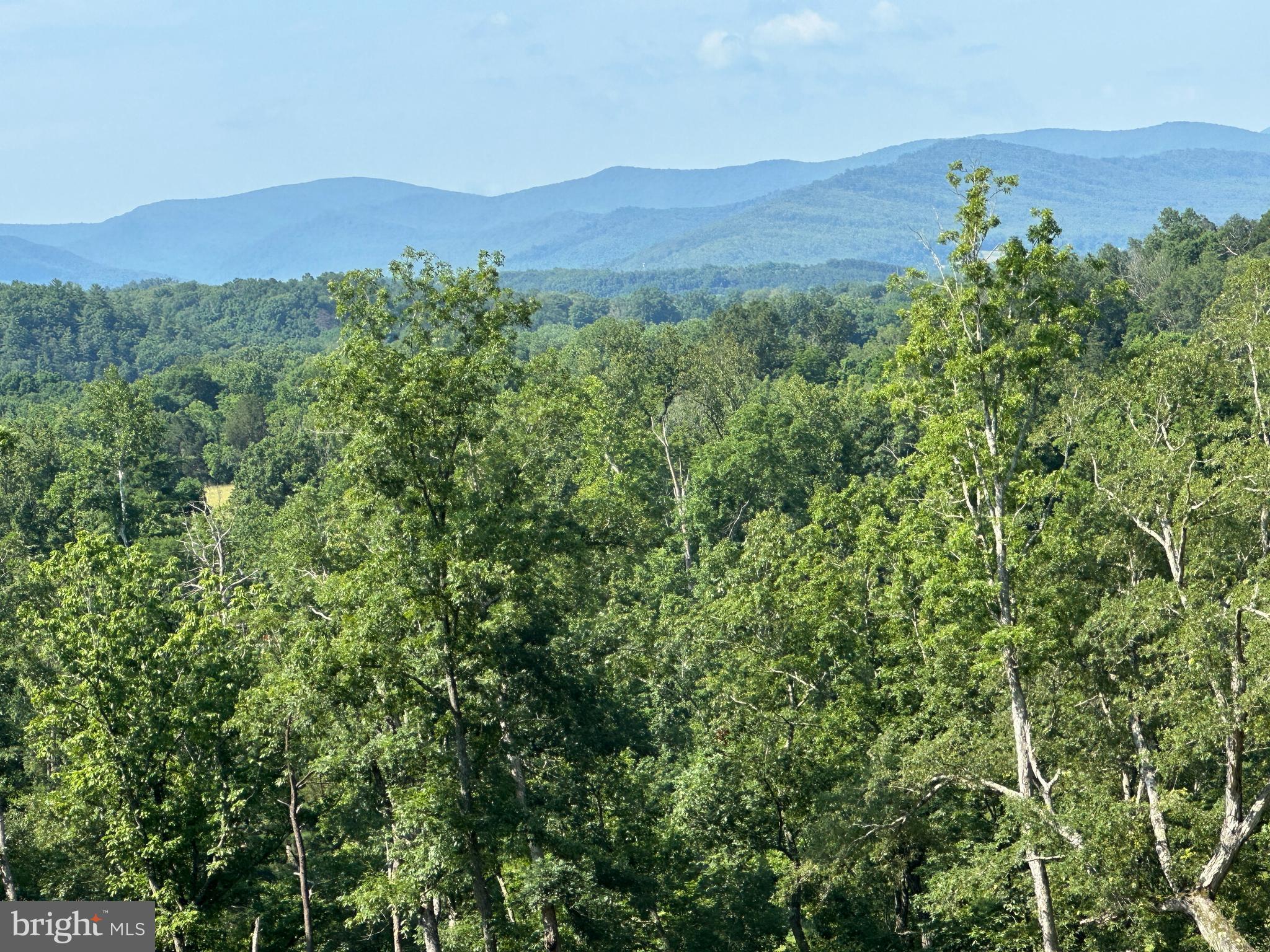 72 ACRES ON THE CACAPON RIVER