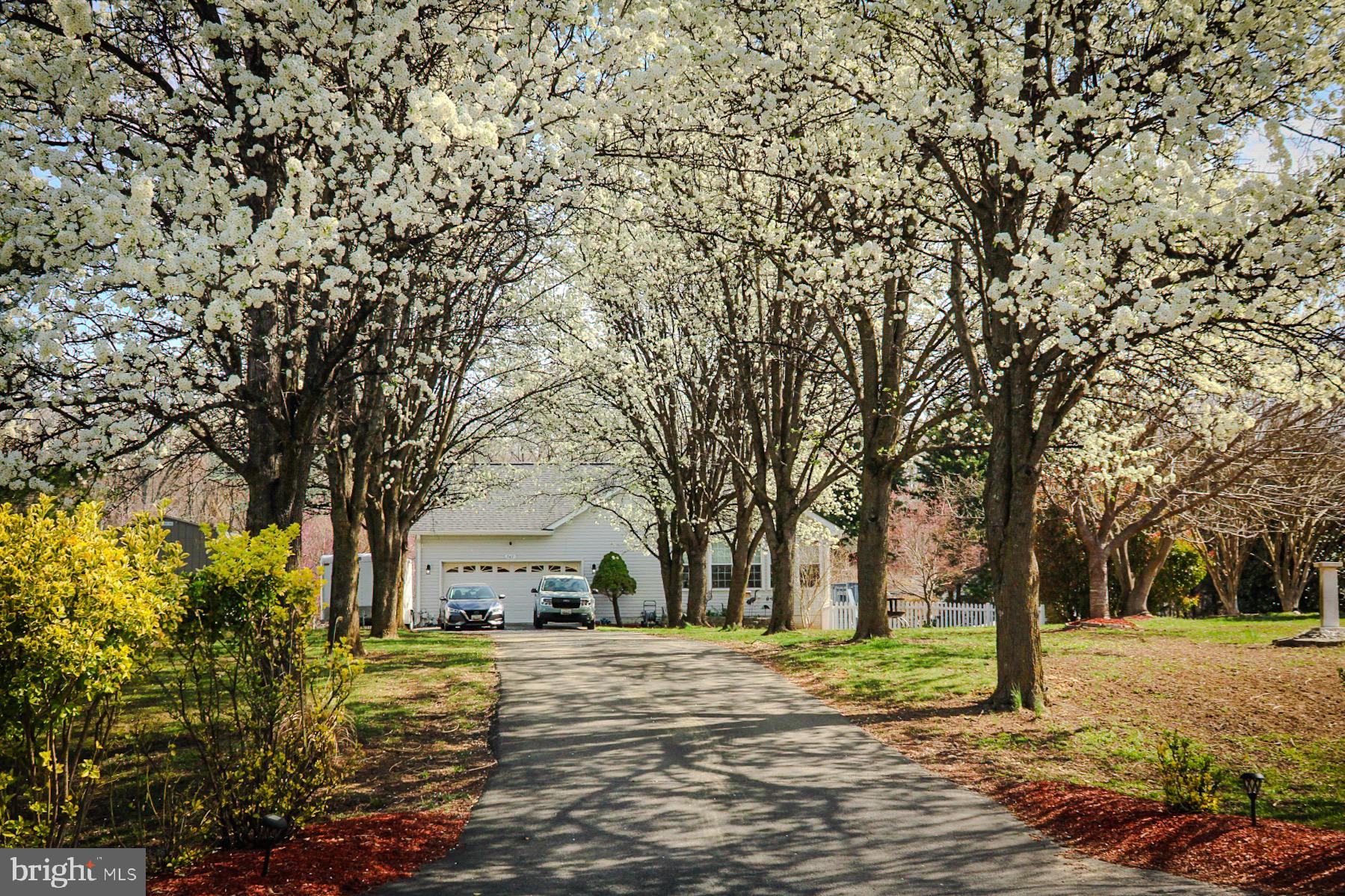 KINGS PURCHASE - Residential