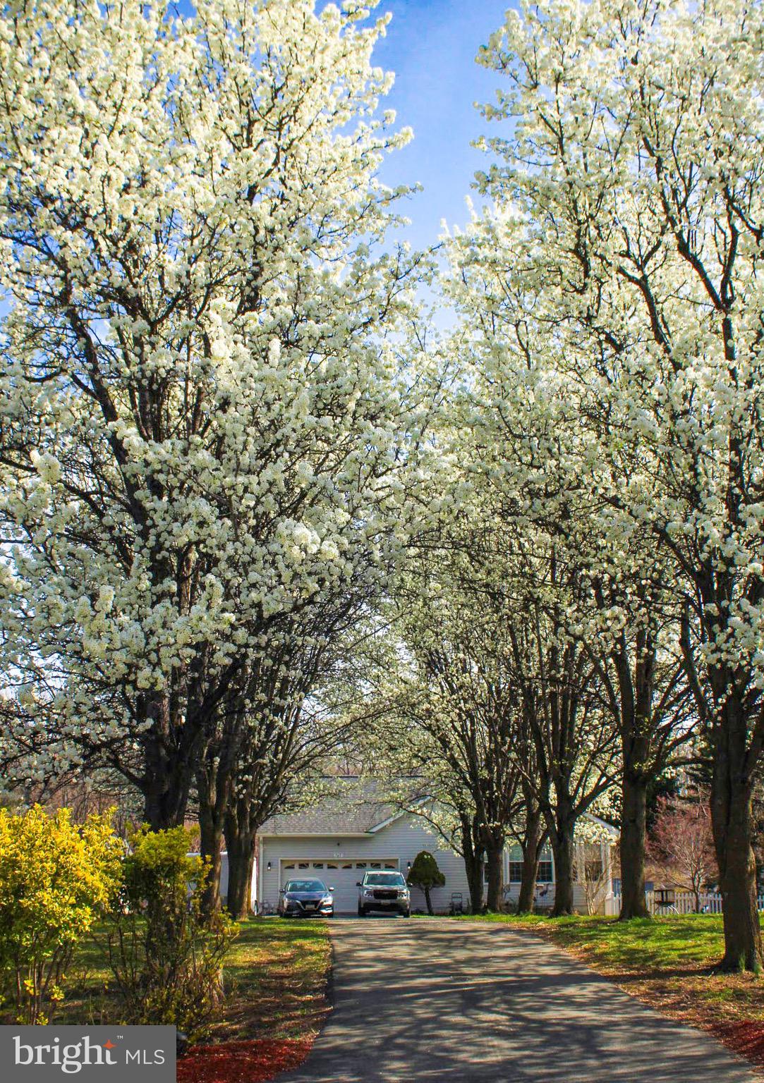 KINGS PURCHASE - Residential