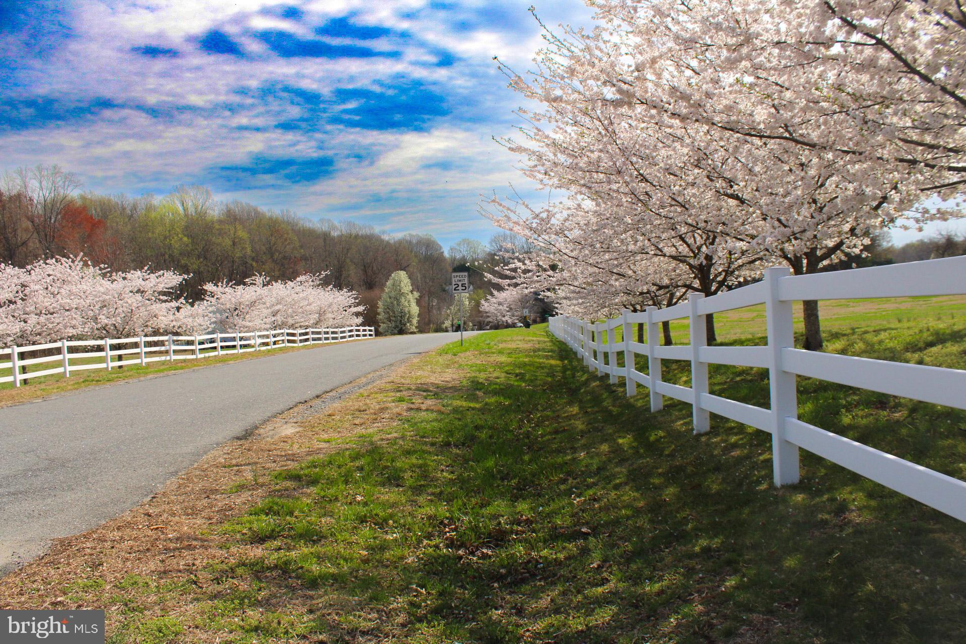 KINGS PURCHASE - Residential