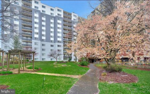 7333 NEW HAMPSHIRE AVENUE 105 TAKOMA PARK MD 20912