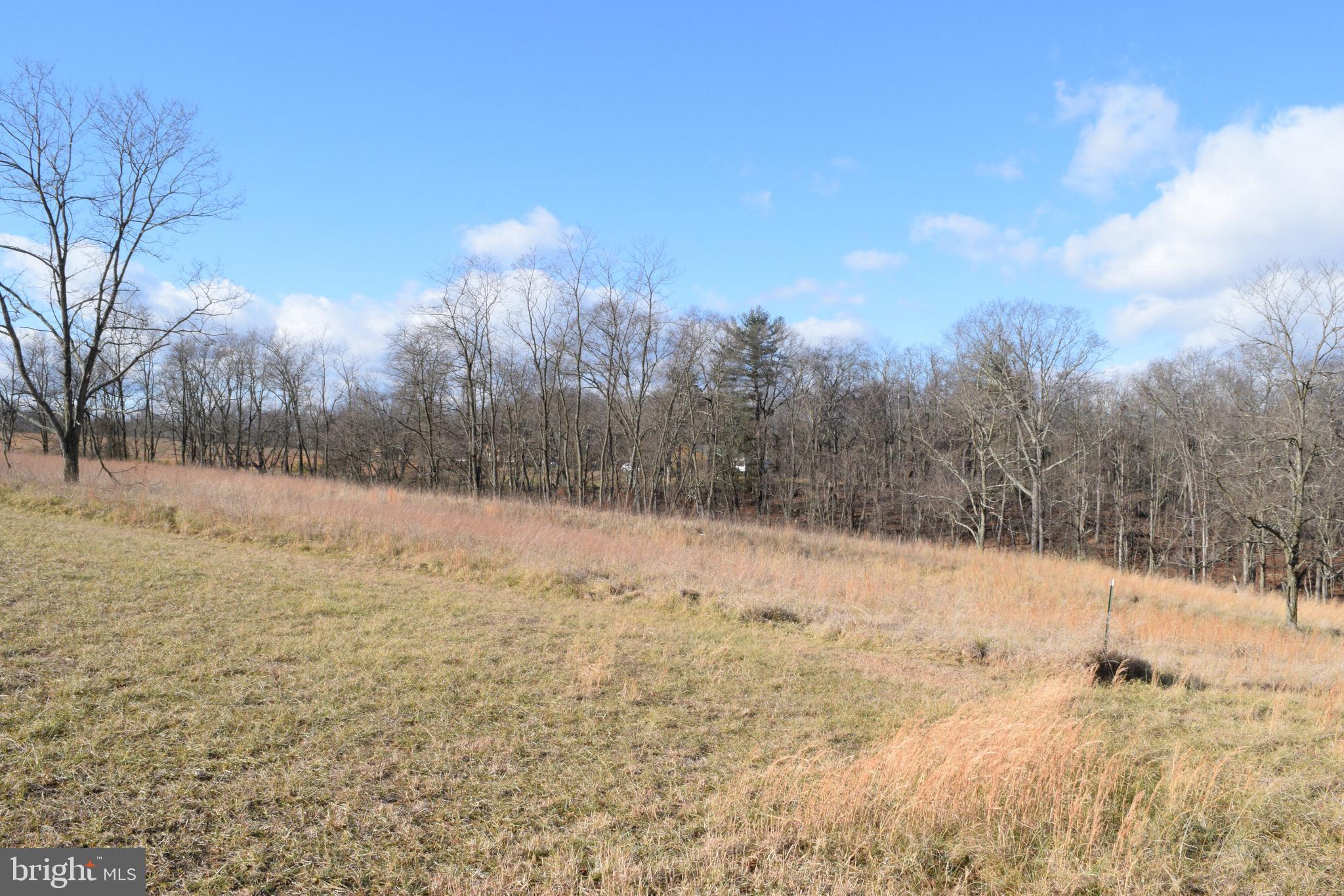 MOUNT LEVELS FARMS - Residential