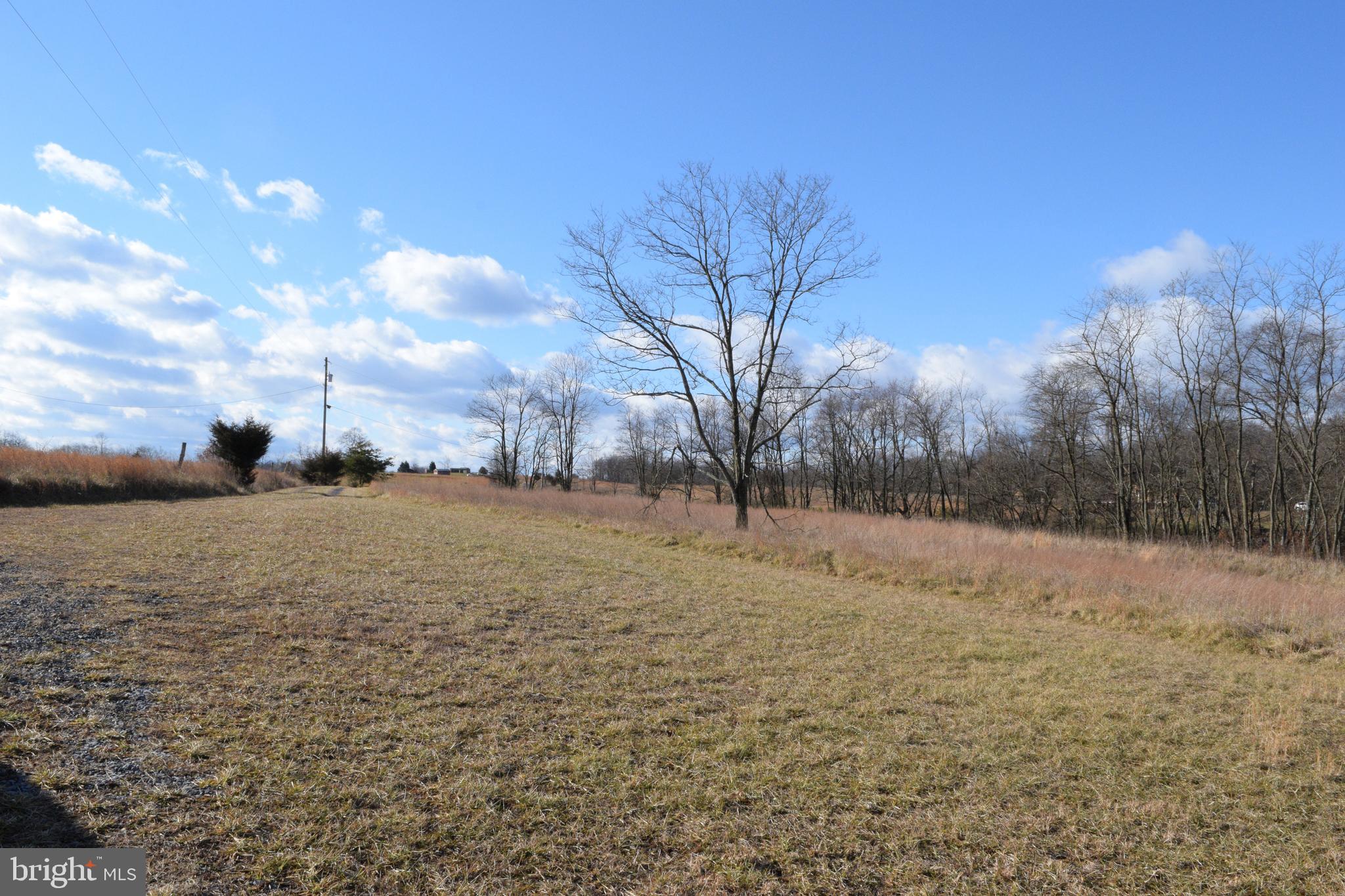 MOUNT LEVELS FARMS - Residential