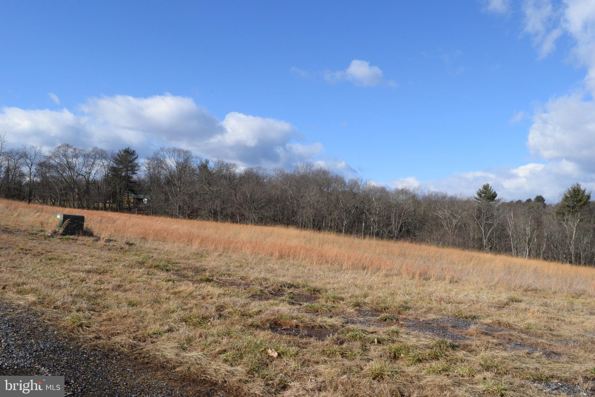 MOUNT LEVELS FARMS - Residential