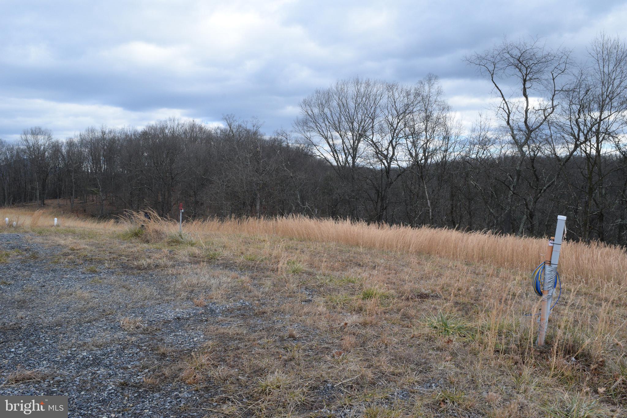 MOUNT LEVELS FARMS - Residential