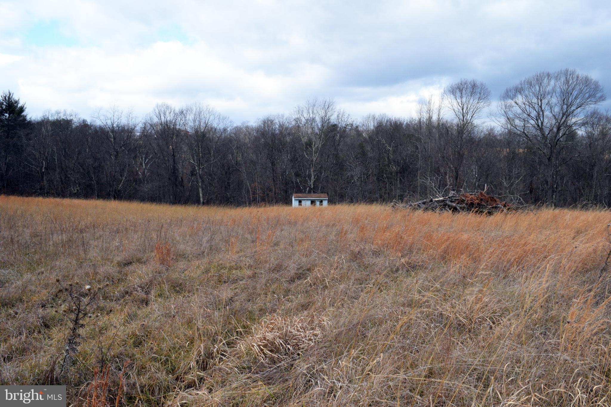 MOUNT LEVELS FARMS - Residential