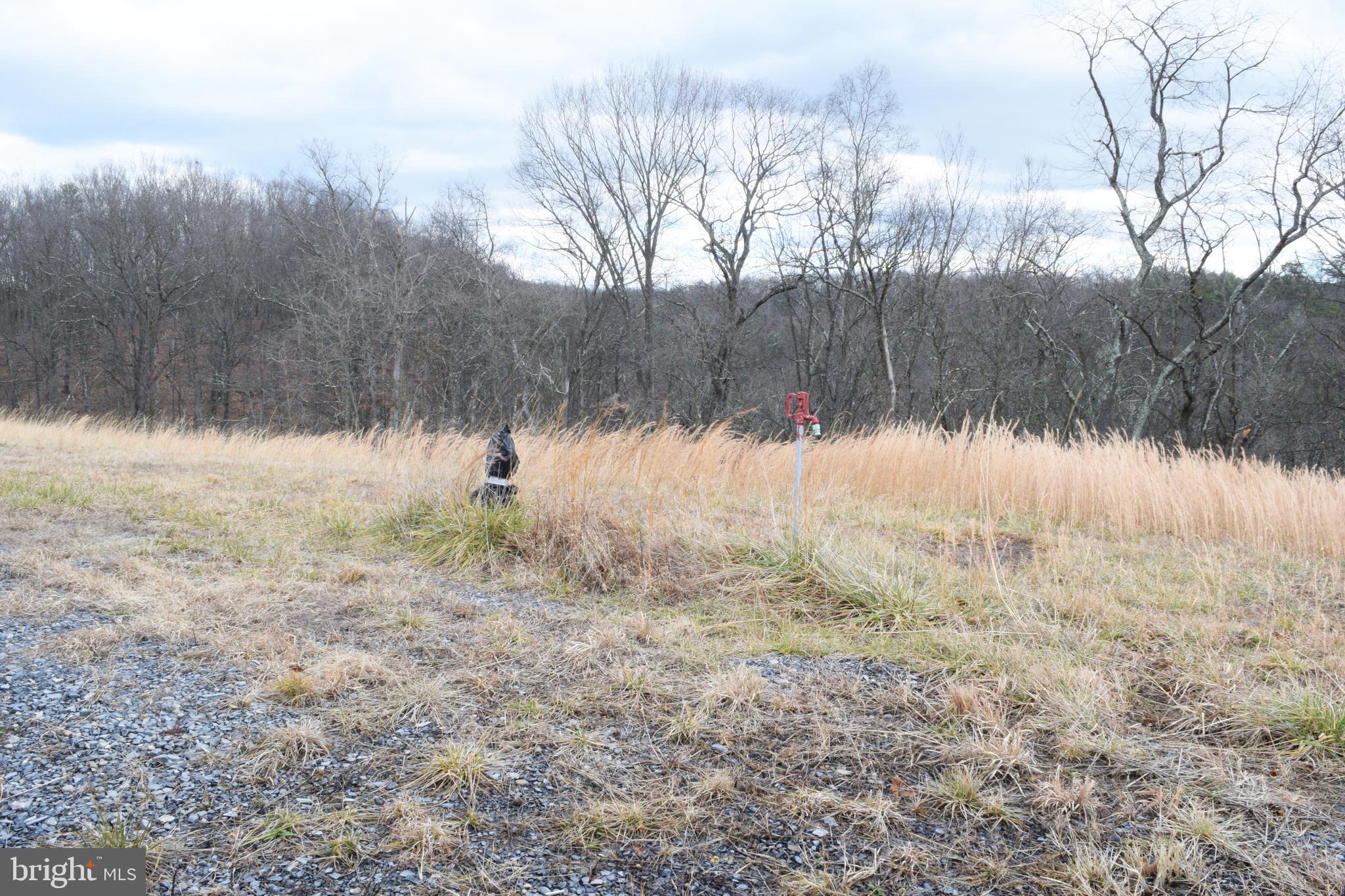 MOUNT LEVELS FARMS - Residential