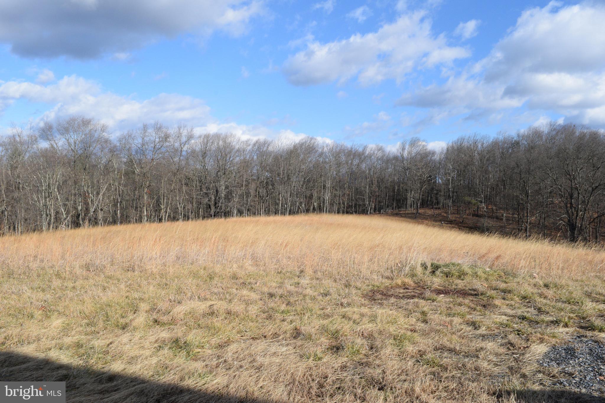 MOUNT LEVELS FARMS - Residential