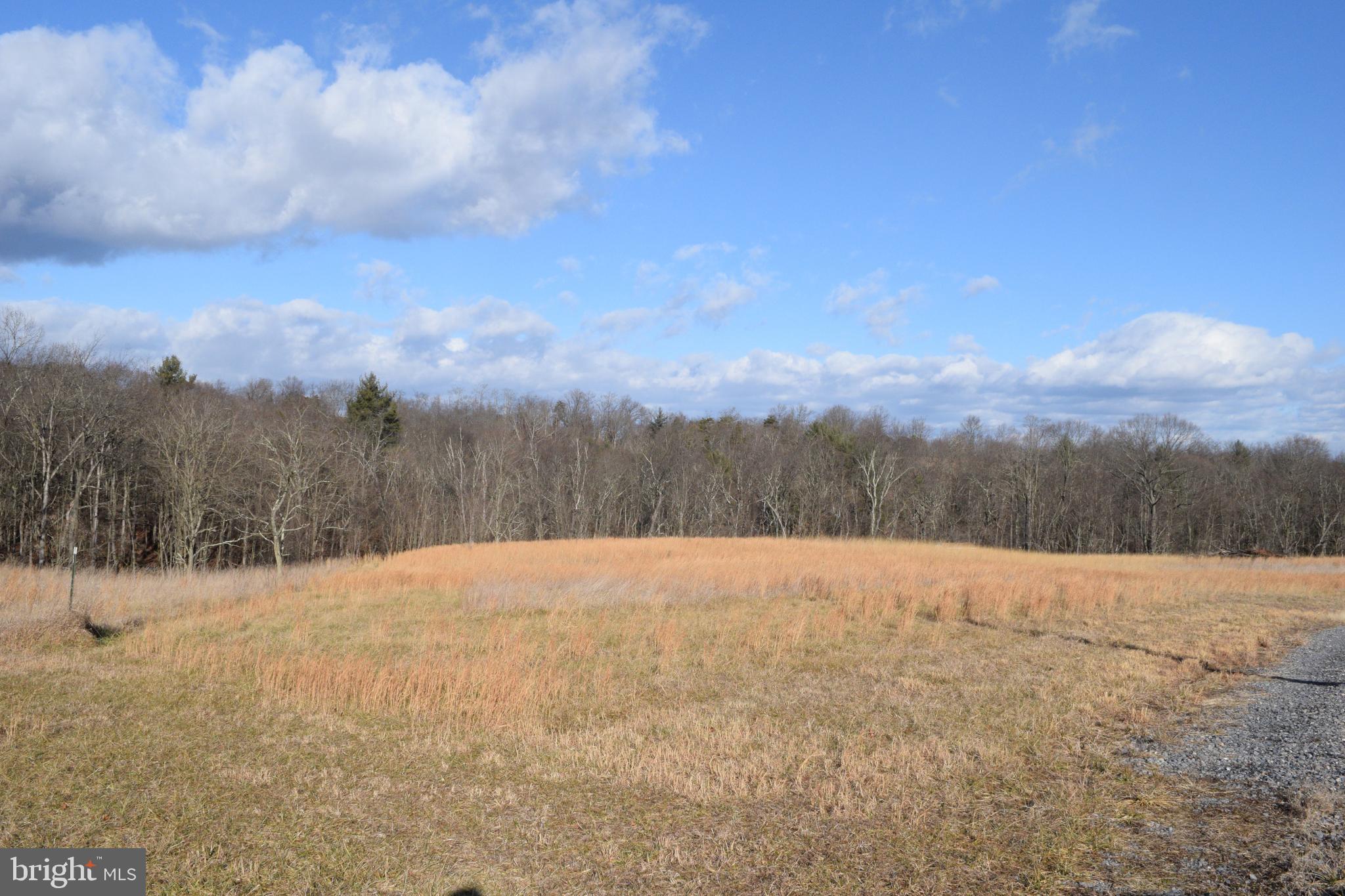 MOUNT LEVELS FARMS - Residential