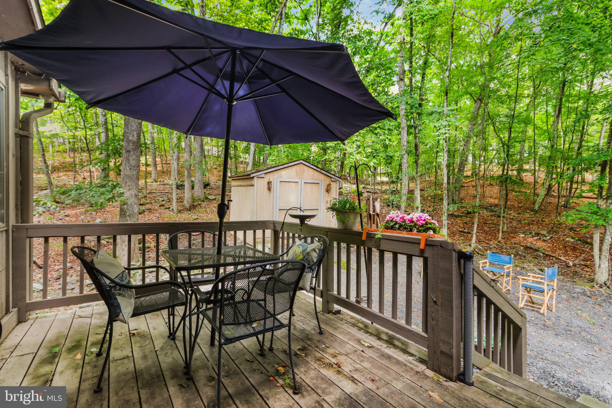 424 SAUNDERS DRIVE