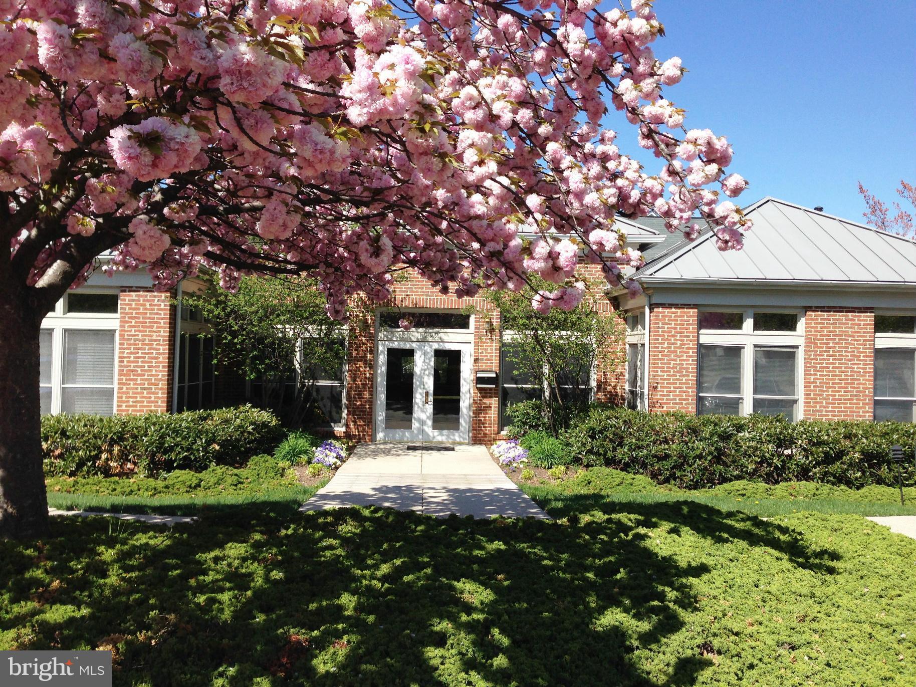 EDGEWATER AT TOWN CENTER - Residential