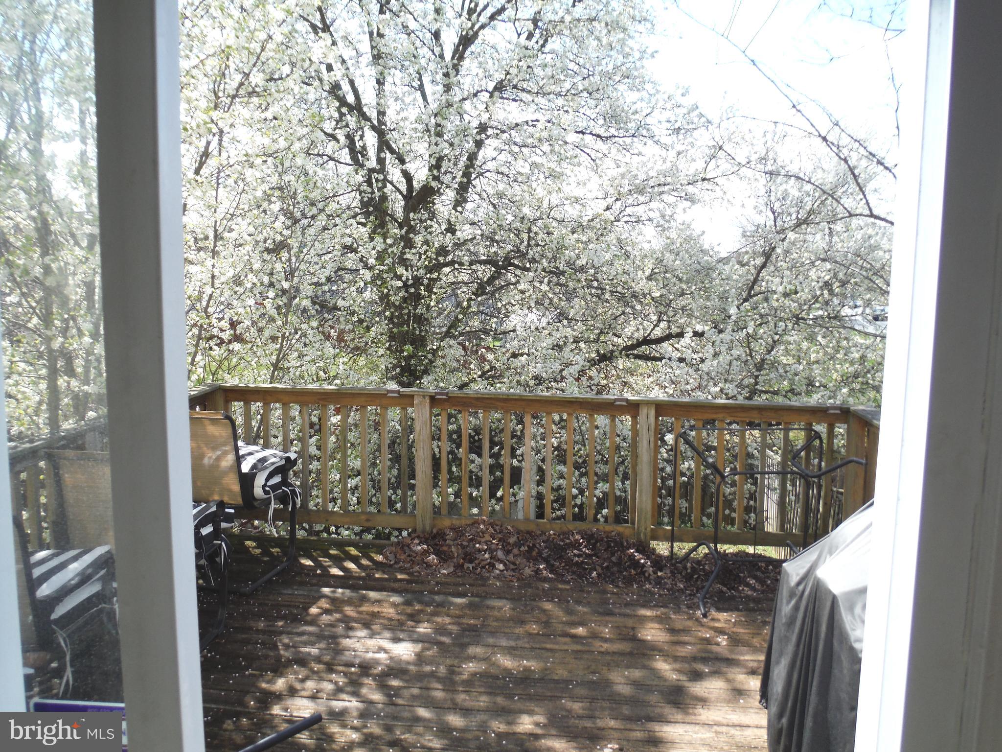 WOODBRIDGE CENTER - Residential