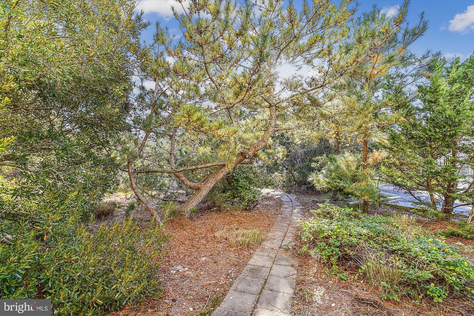 COTTON PATCH HILLS - Residential